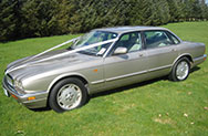 Wedding car in field (Image)